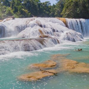 chiapas, méxico, nature