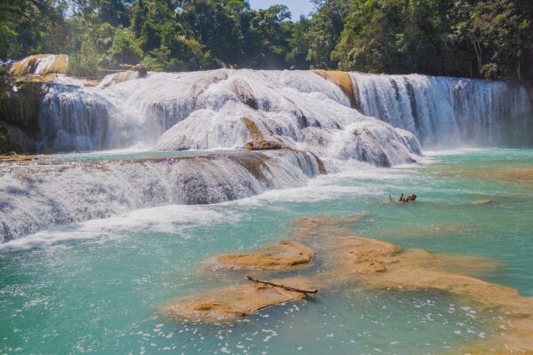 chiapas, méxico, nature