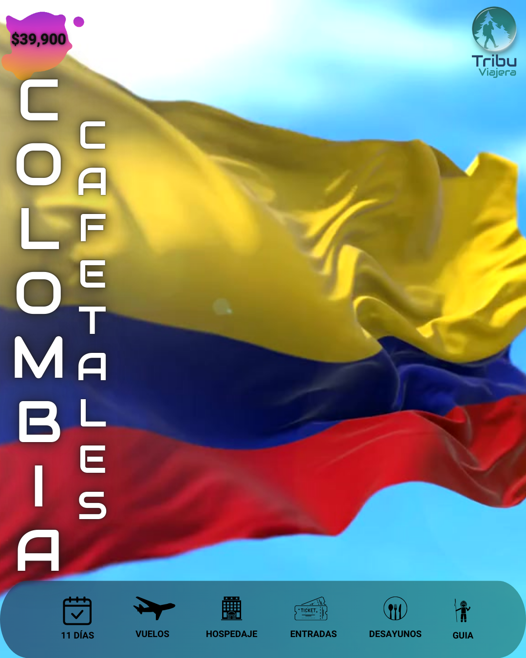 1 colombia cafetales
